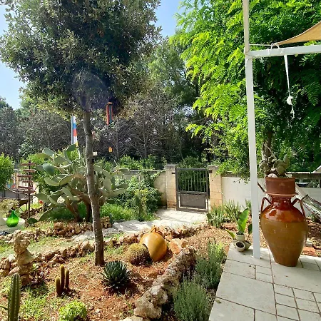 Chill Garden Experience